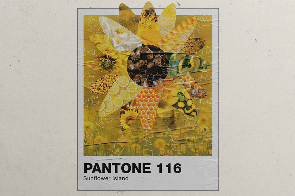 Pantone Swatch poster mockup on a wall